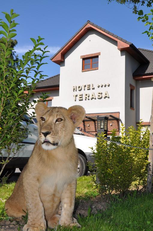 Hotel Terasa Frýdek-Místek Kültér fotó